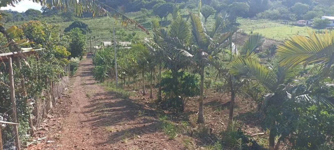 Chácara no KM-14 - Foto 5