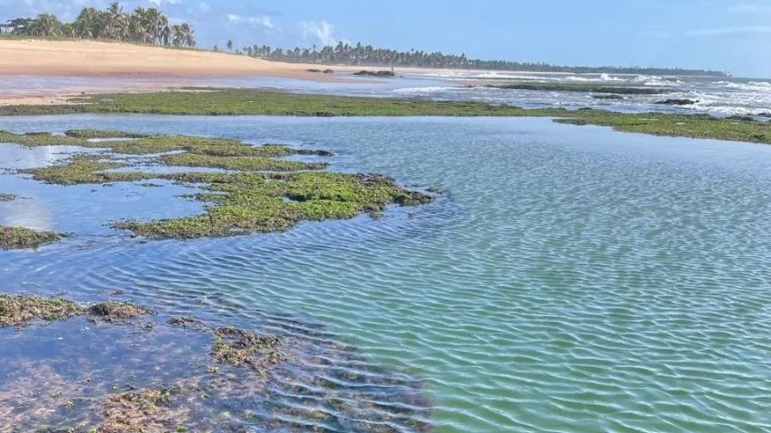 Foto - Camaçari - Itacimirim (Monte Gordo)