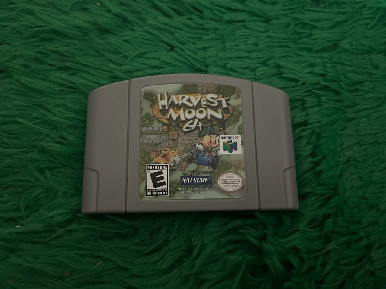 Harvest Moon 64 - Foto 3