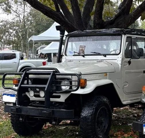 Toyota Band.Jipe Cap.de Aço Chas. Curto Diesel 1989