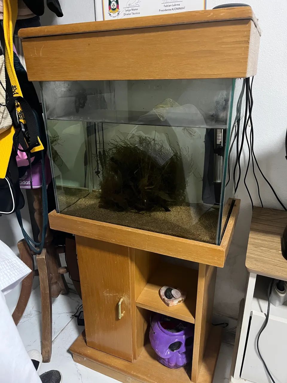 Aquario 50 litros completo