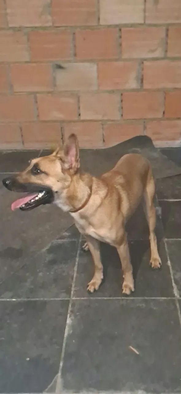 Doação 
