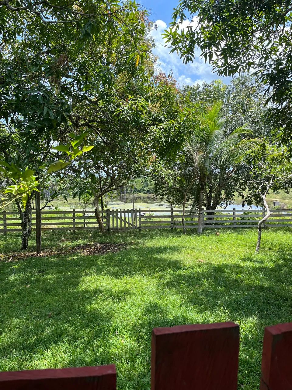 Fazenda à venda  - Foto 4