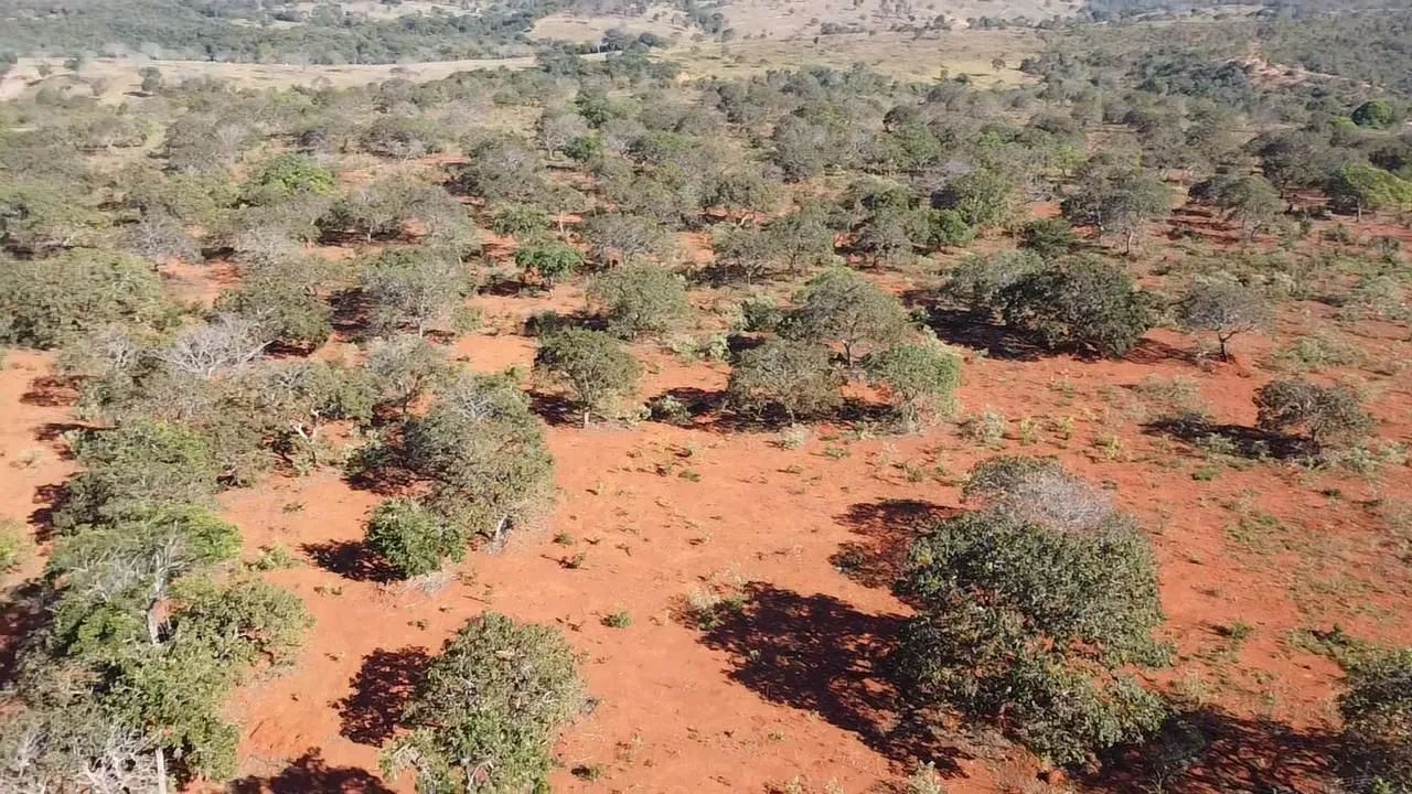 Fazenda para 100 cabeças de gado  - Foto 5
