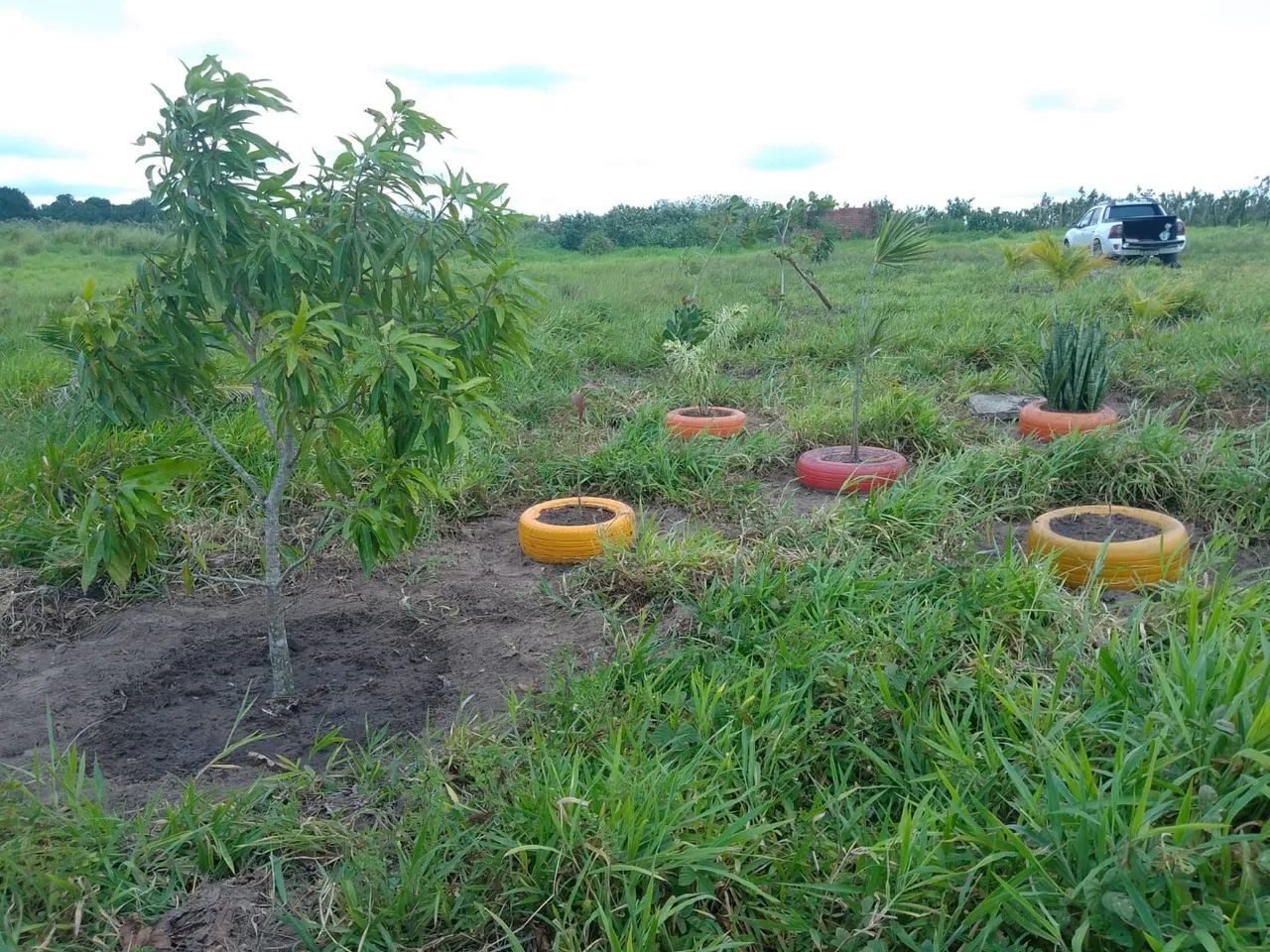 Terreno próx Rei das Coxinhas PB - Foto 2
