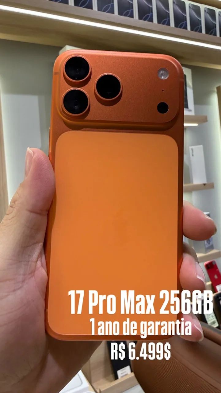 17 pro max 256GB