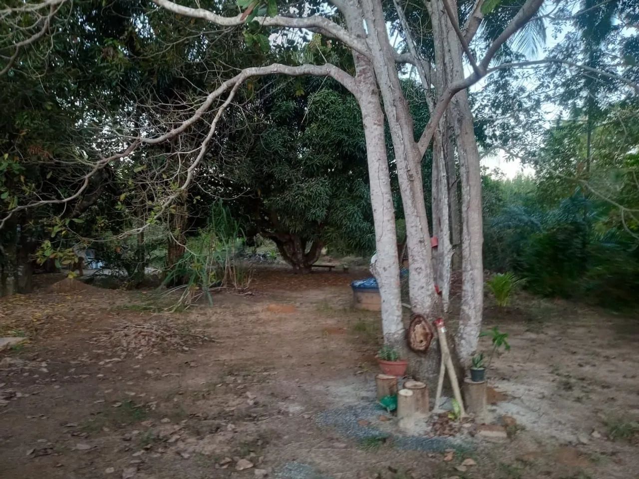 Terrenos na Linha Verde  - Foto 3