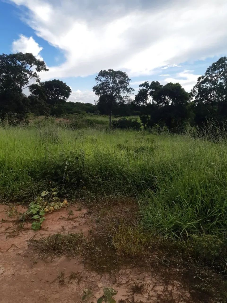 Fazenda  - Foto 5