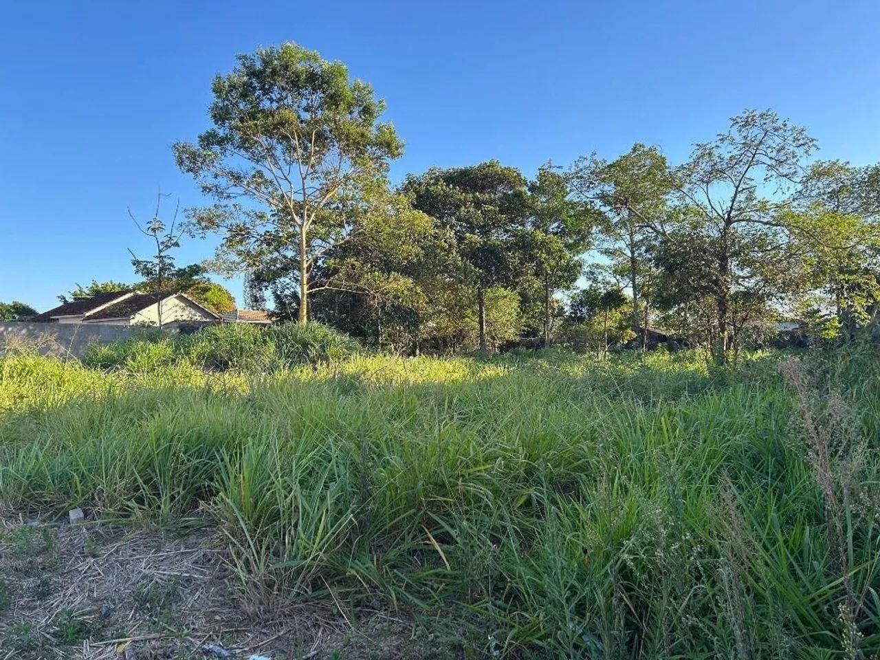 TERRENO - VENDA - Bom Clima - Chapada dos Guimarães/MT - Foto 3