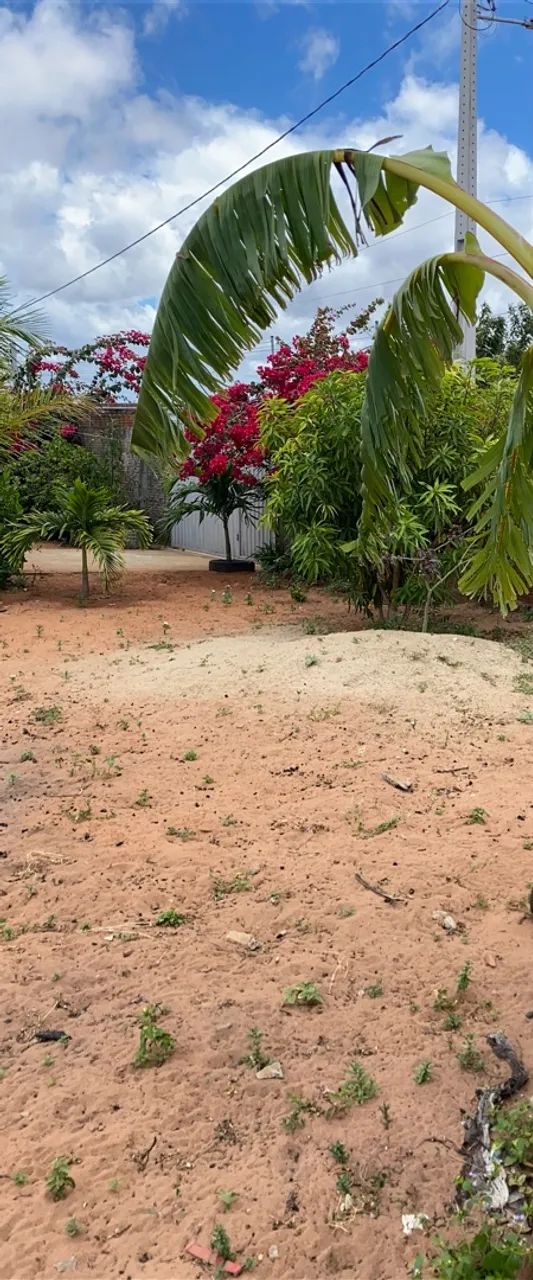 GRANJA EM EXTREMOZ - Foto 4