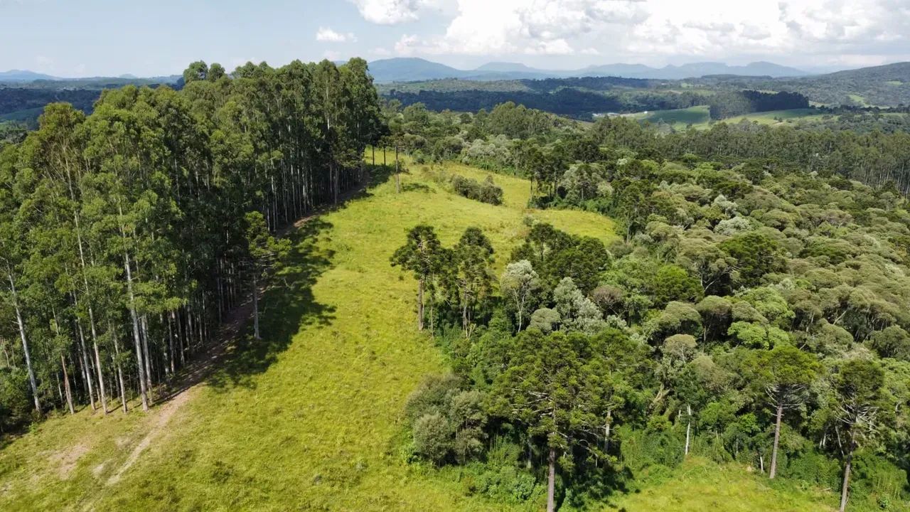 Terreno com 57 hectares próximo da rodovia - Foto 5
