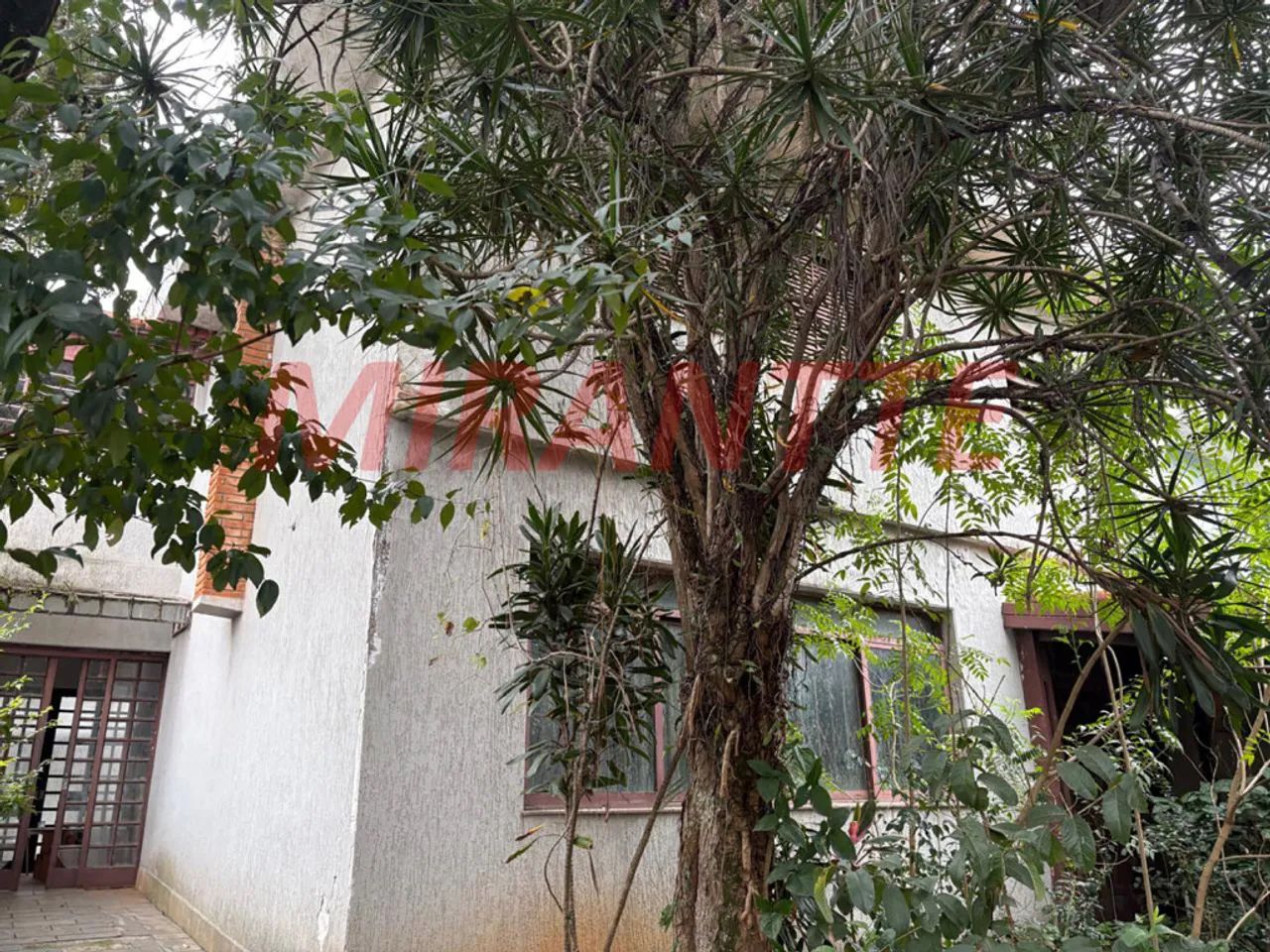 Terreno em Jardim França - Foto 4