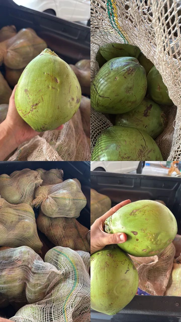 Coco verde - promo ção  - Foto 2