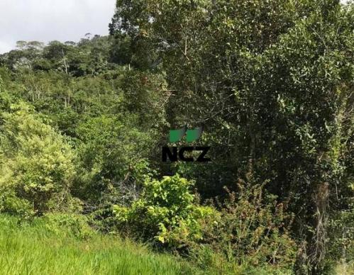 Fazenda à venda, 2460000 m² por r$ 800.000,00 - zona rural - buerarema/ba - Foto 2