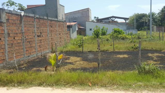 Terreno ilha Tairu - Foto 2