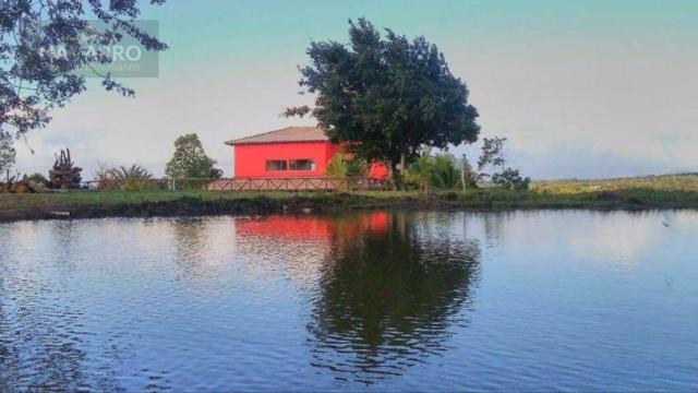 Casa com 8 dormitórios à venda, 4000 m² por R$ 1.700.000 - Centro - Cabaceiras Do Paraguaç - Foto 20