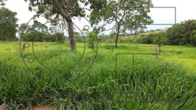 990 hectares Aquidauana MS - Foto 2