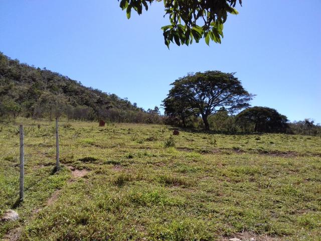 Sítio com cachoeira - Itumirim - MG - Foto 5
