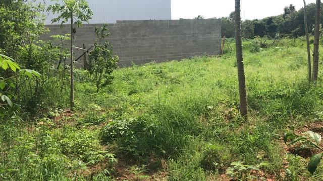 Vende se terreno - Foto 8
