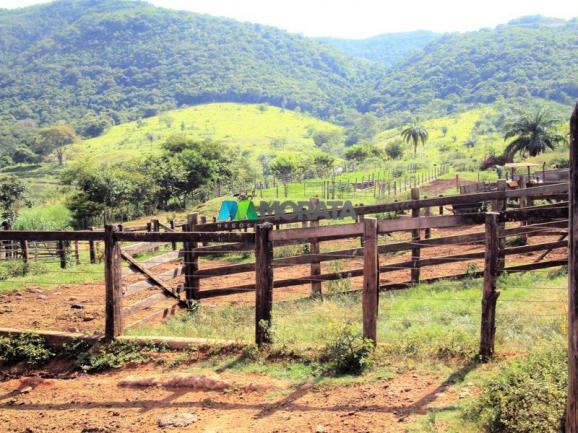 FAZENDA - 334 hectares - PARÁ DE MINAS (MG) - Foto 17