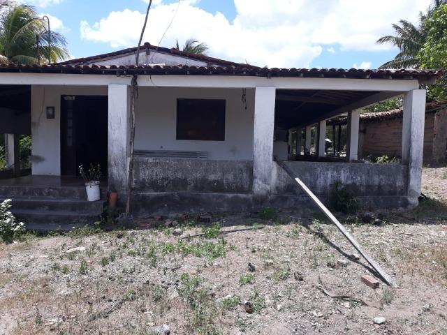 Chã de Alegria= Vend. 125 mil reais=10 Hect.=Casa,Pastos,Energia,Água e mais - Foto 2