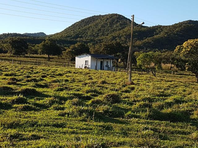 Fazenda - 981 Hectares - Cuiabá/MT - Foto 19
