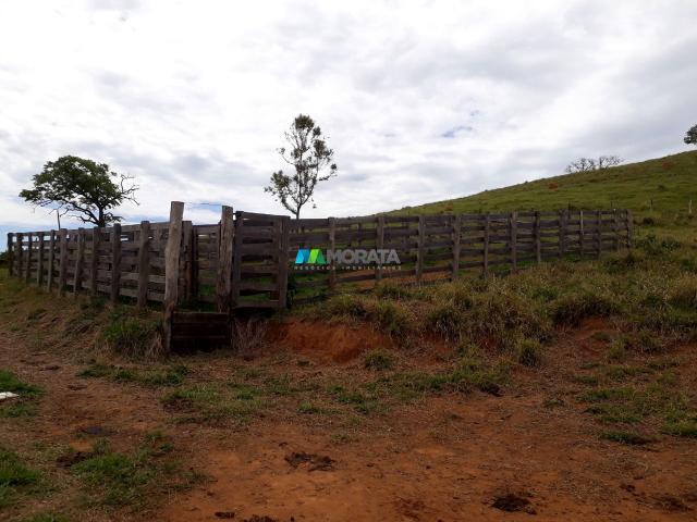 Fazenda à venda - 90 hectares - lavras (mg) - Foto 11