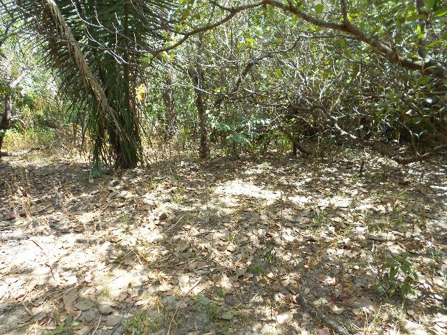 Vendo imóvel na Vila Vitória, com 1.500m² - Foto 10
