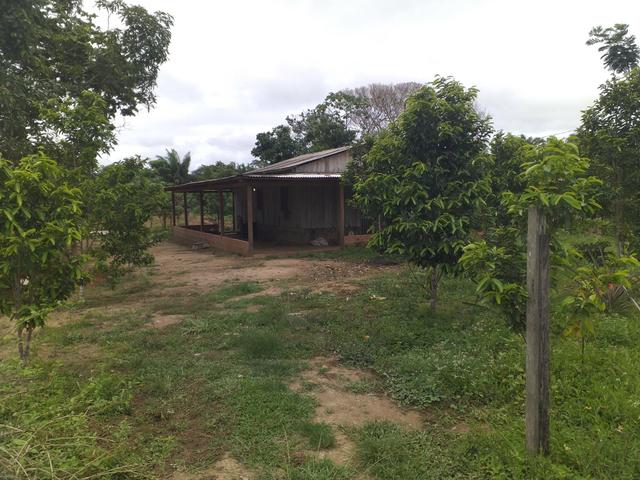 Vende-se uma chácara - Foto 4