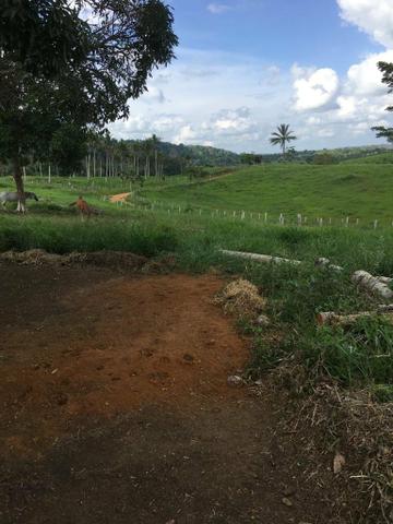 Vendo fazenda (Itamaraju BA) - Foto 17