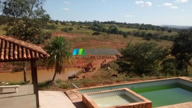 FAZENDA À VENDA - 187 HECTARES - ONÇA DO PITANGUI (MG) - Foto 4