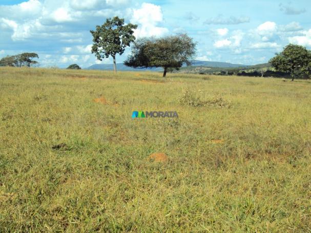 FAZENDA À VENDA - 300 HECTARES - PITANGUI (MG) - Foto 2