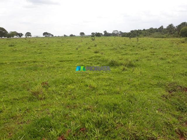 Fazenda à venda - 03 hectares - araçaí (mg) - Foto 7