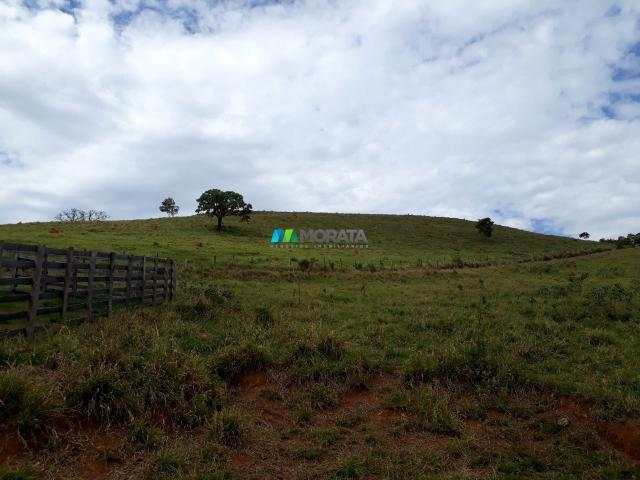 Fazenda à venda - 90 hectares - lavras (mg)