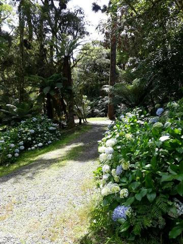 Cabana em São Francisco de Paula - Foto 13