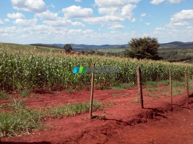 FAZENDA - 122,80 hectares - PEQUI (MG)