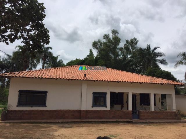 FAZENDINHA À VENDA - 2,5 HECTARES - PEQUI (MG) - Foto 4