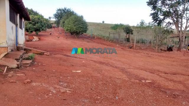 Fazenda à venda - 75 hectares - onça do pitangui (mg) - Foto 13