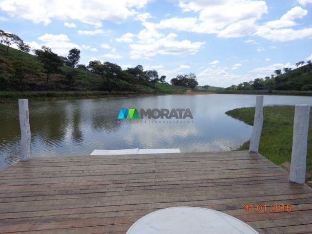 Fazenda haras – 990 hectares - sete lagoas (mg) - Foto 5