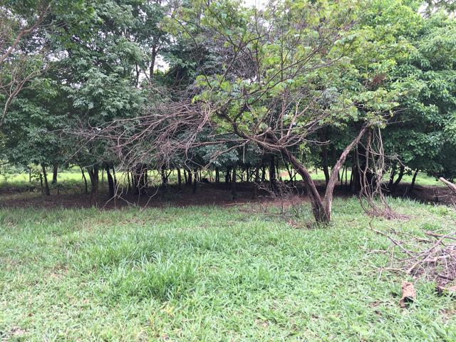 Chácara em Bela Vista de Goiás com casa - Foto 12