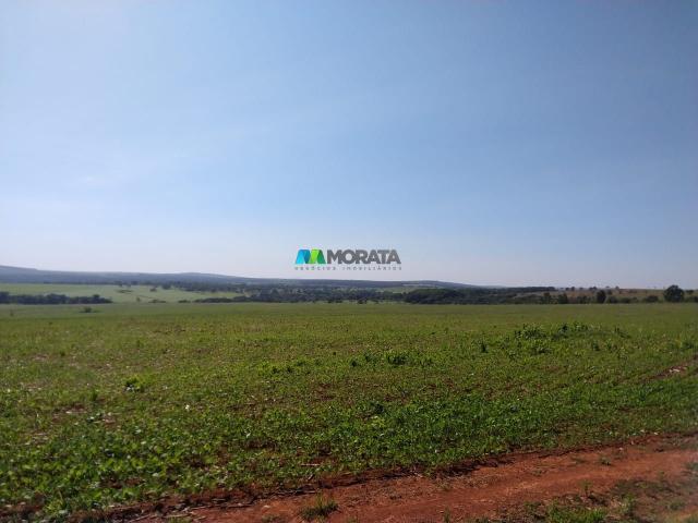 FAZENDA A VENDA - 300 hectares - REGIÃO PITANGUI (MG) - Foto 2