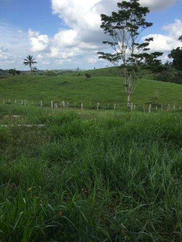 Vendo fazenda (Itamaraju BA) - Foto 8