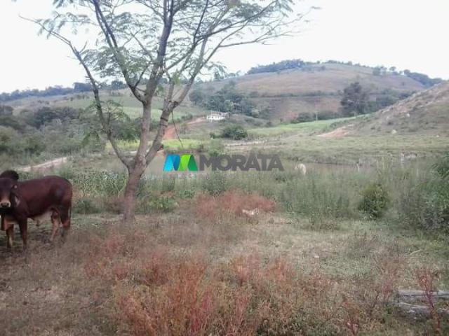 Fazenda - 59 hectares - bonfim (mg) - Foto 5