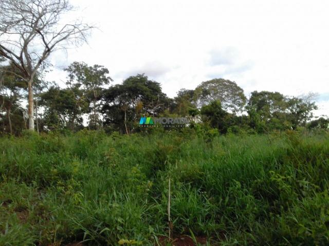 FAZENDINHA À VENDA - 2,5 HECTARES - PEQUI (MG) - Foto 11