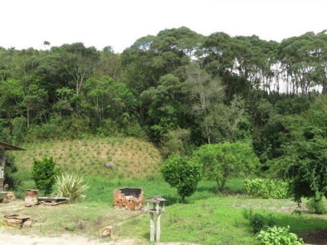 Chácara para Venda, 71.959,20 m², Piên / PR, bairro Poço Frio, 3 dormitórios - Foto 6