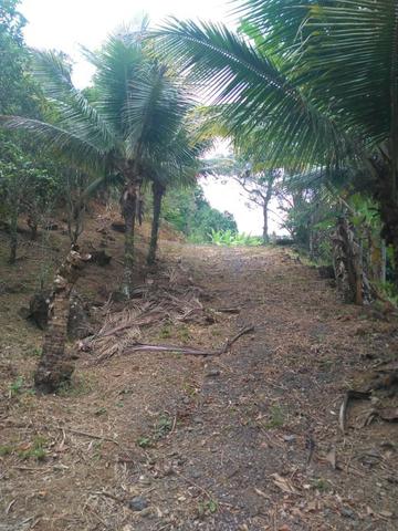 Sítio 40.000m2 em Casimiro de Abreu - Foto 17