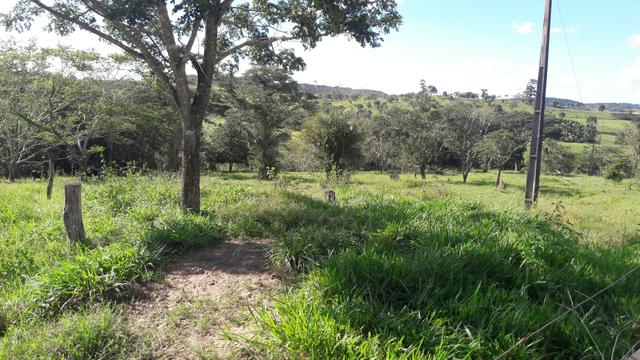Vendo ou troco por casa em vilhena ro - Foto 4