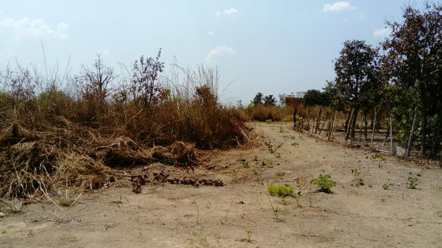 Terreno para construir a chácara dos seus sonhos! - Foto 5