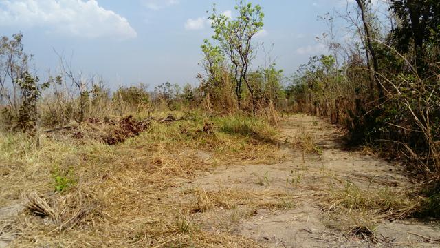 Terreno para construir a chácara dos seus sonhos! - Foto 2