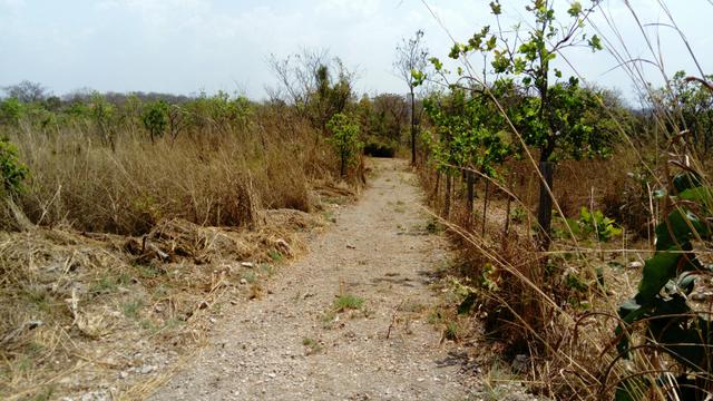 Terreno para construir a chácara dos seus sonhos!